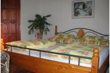 Ungheria Privát Sárospatak, Interno